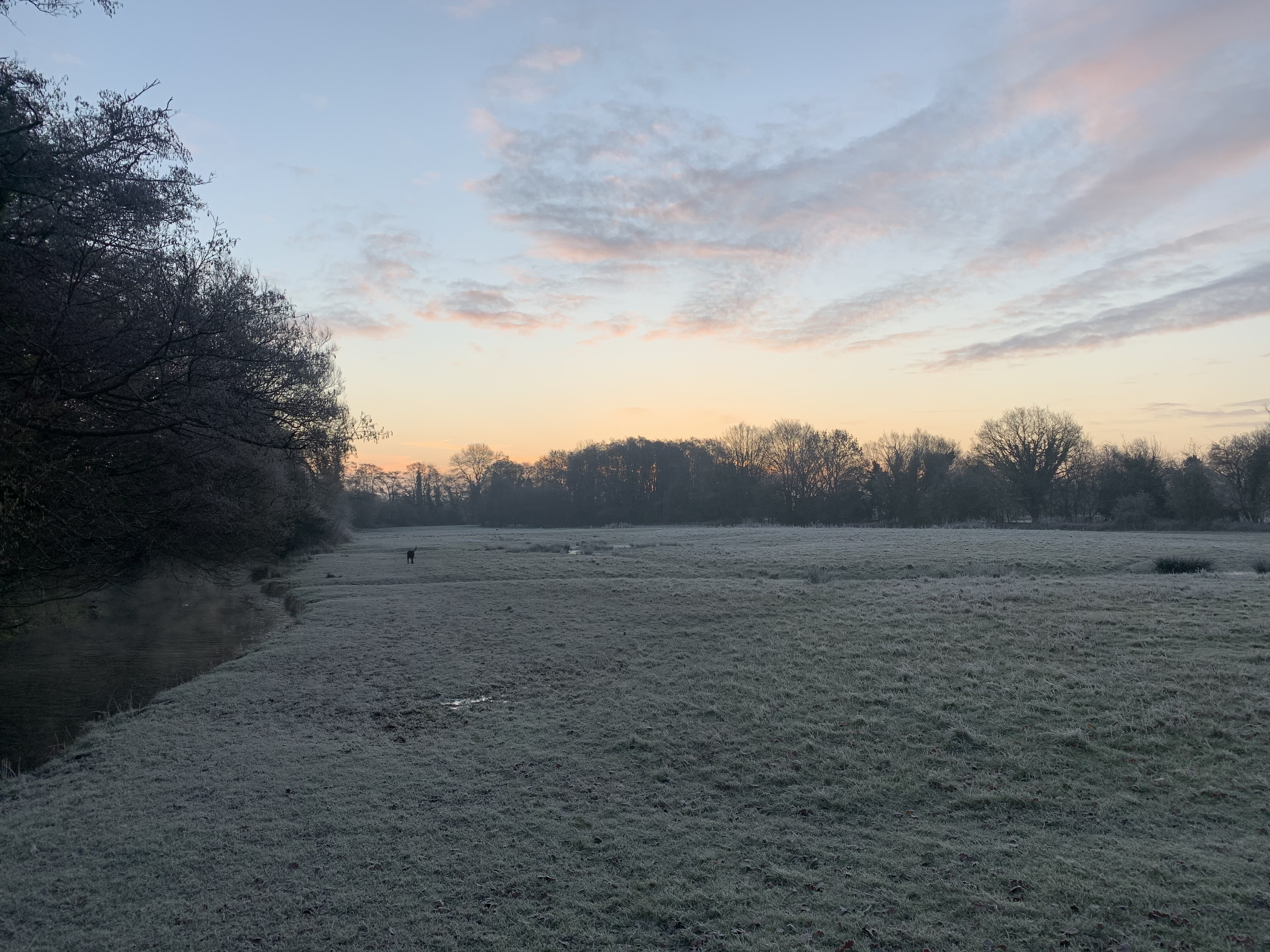 frosty morning scene